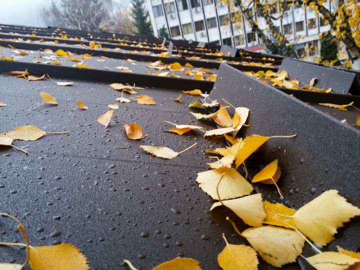 #autumn
