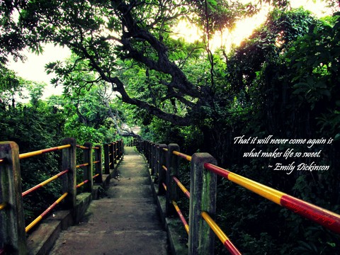 Path of life