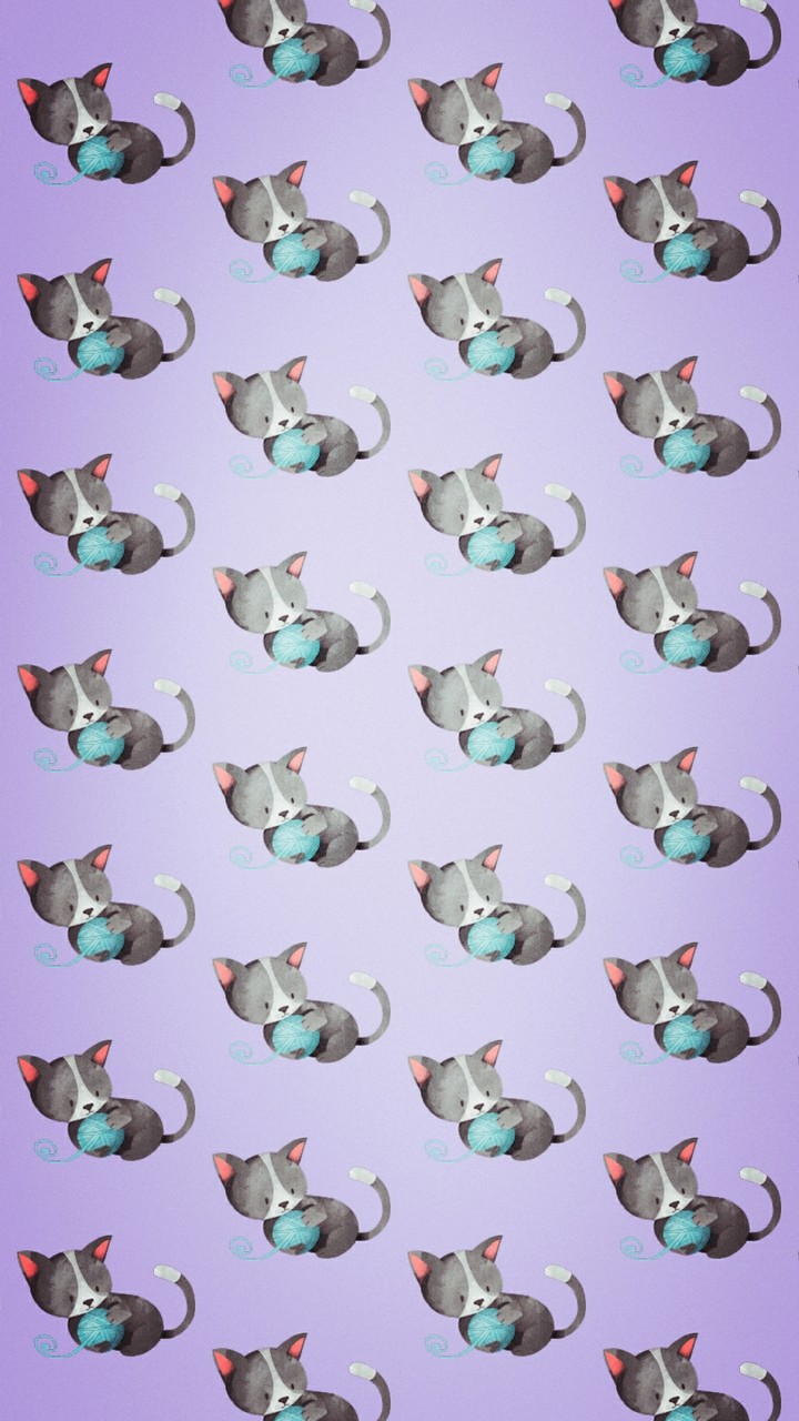 Котики