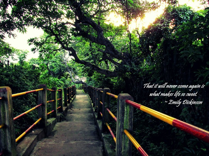 Path of life