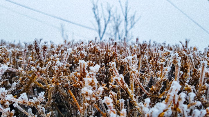 winter