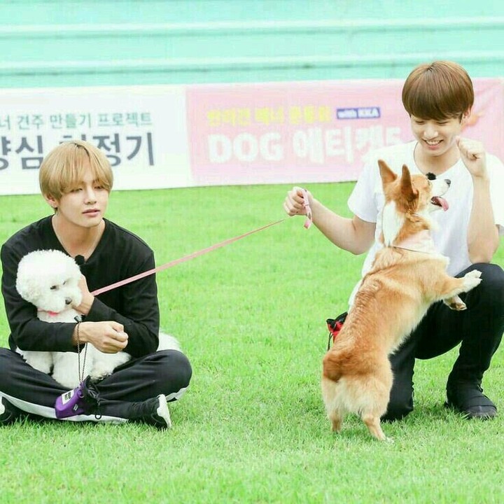V Jungkook and dog