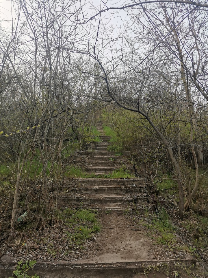 Забытая лестница