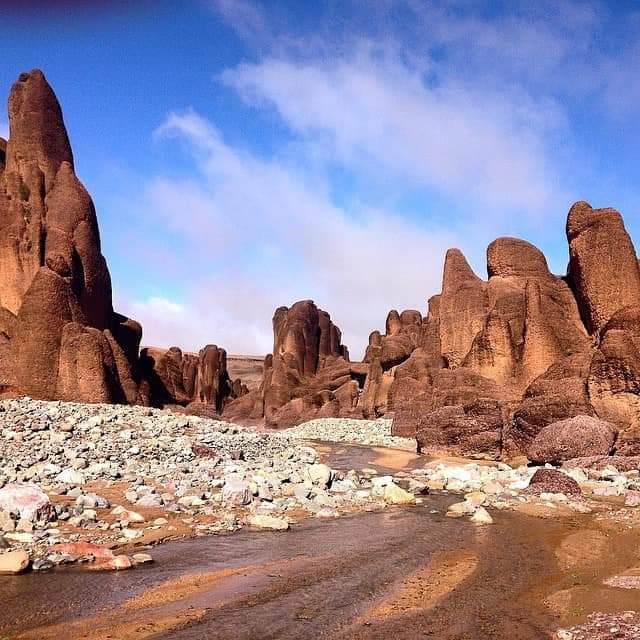 nature in Morocco⭐⭐⭐