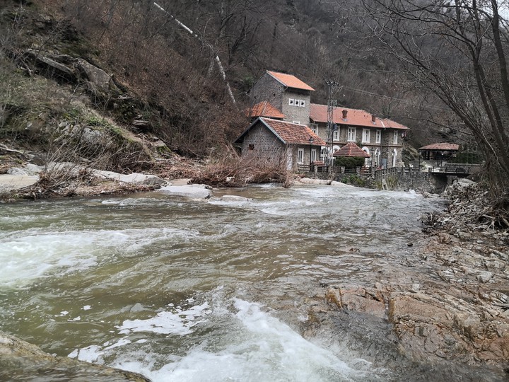 Vučjanka