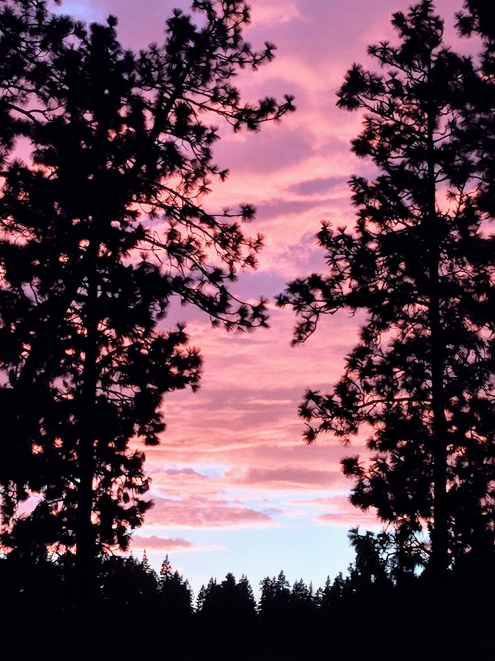 Idaho sunset