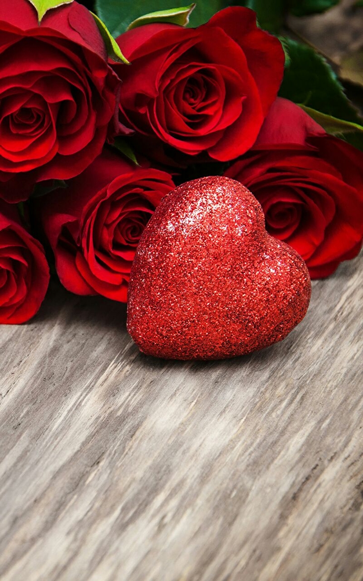 Red Rose...