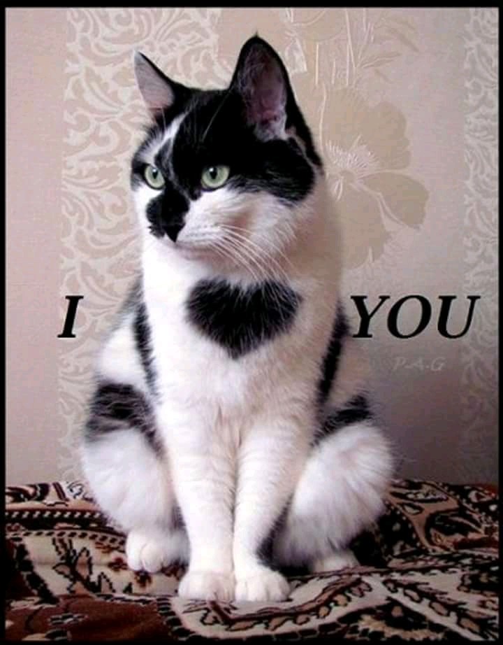 ❤❤❤