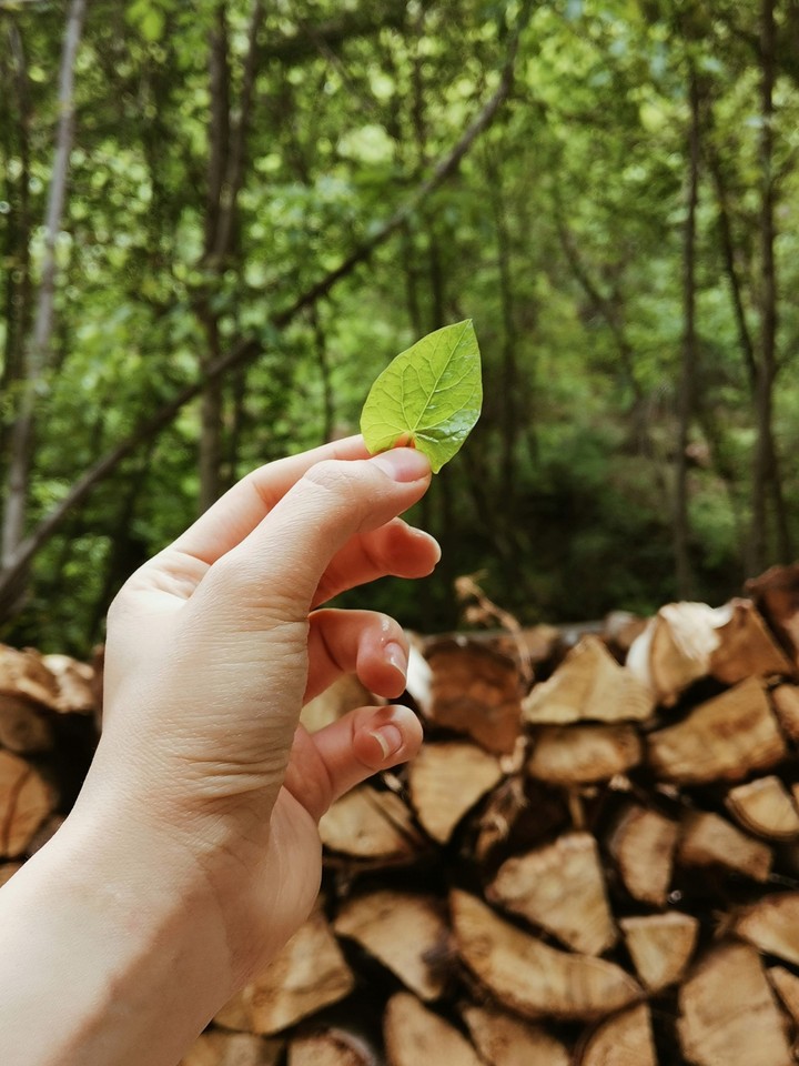 in the nature with me?