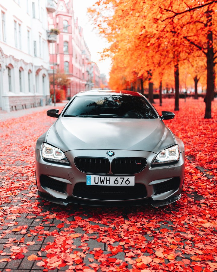 BMW M6