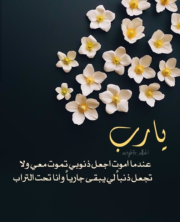 #رحيق_الورد