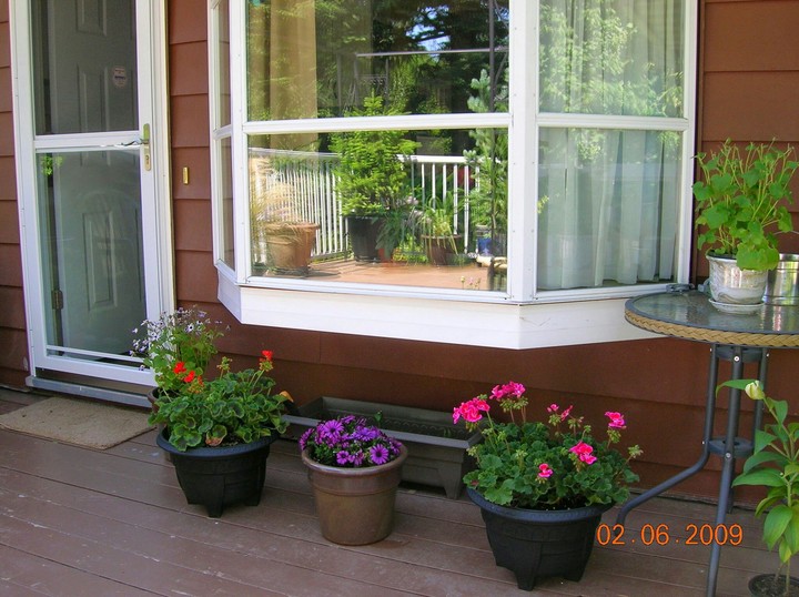 My rental house