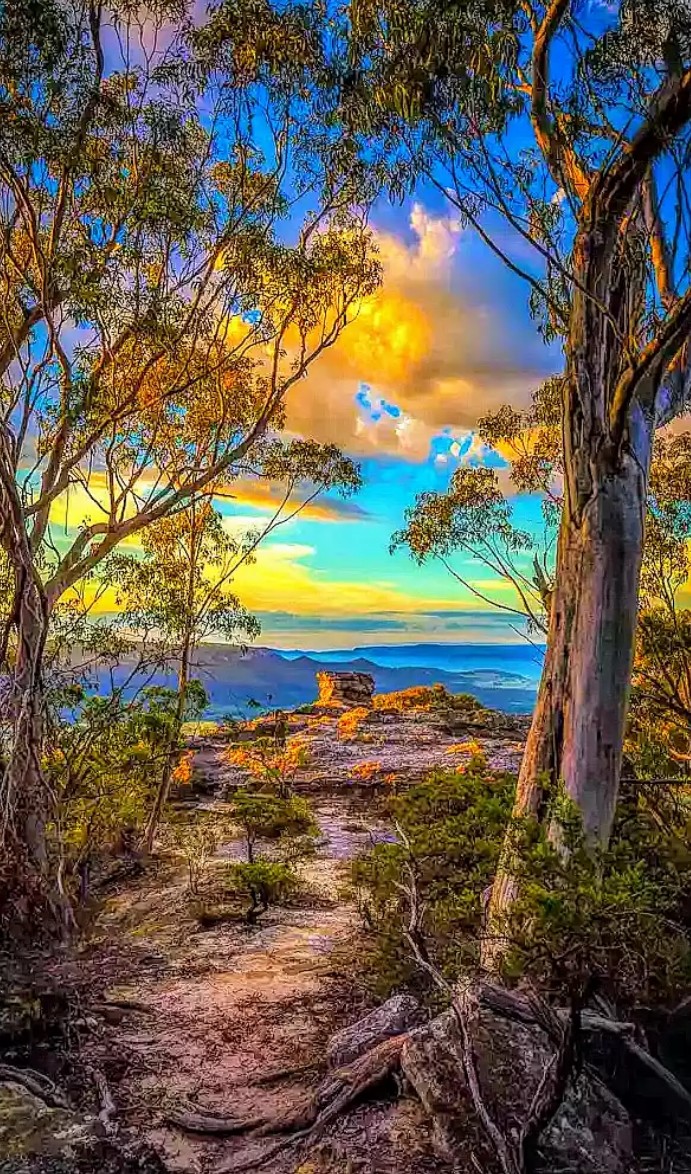 nature