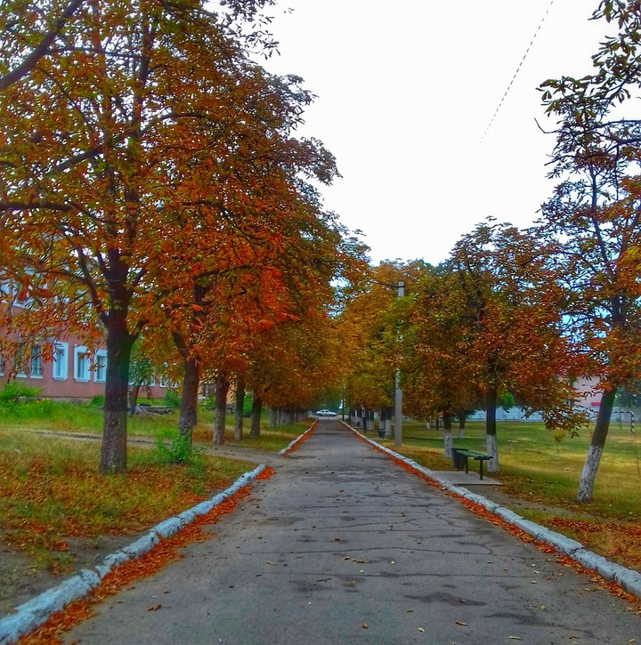 Autumn