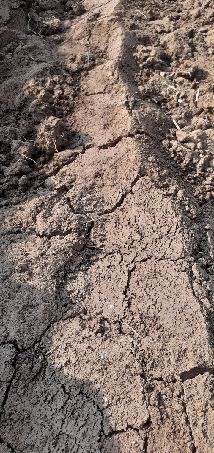 Dirt