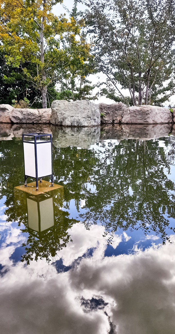 reflection