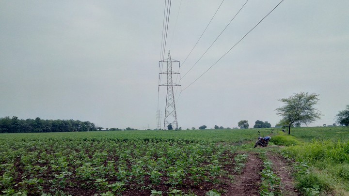 farm