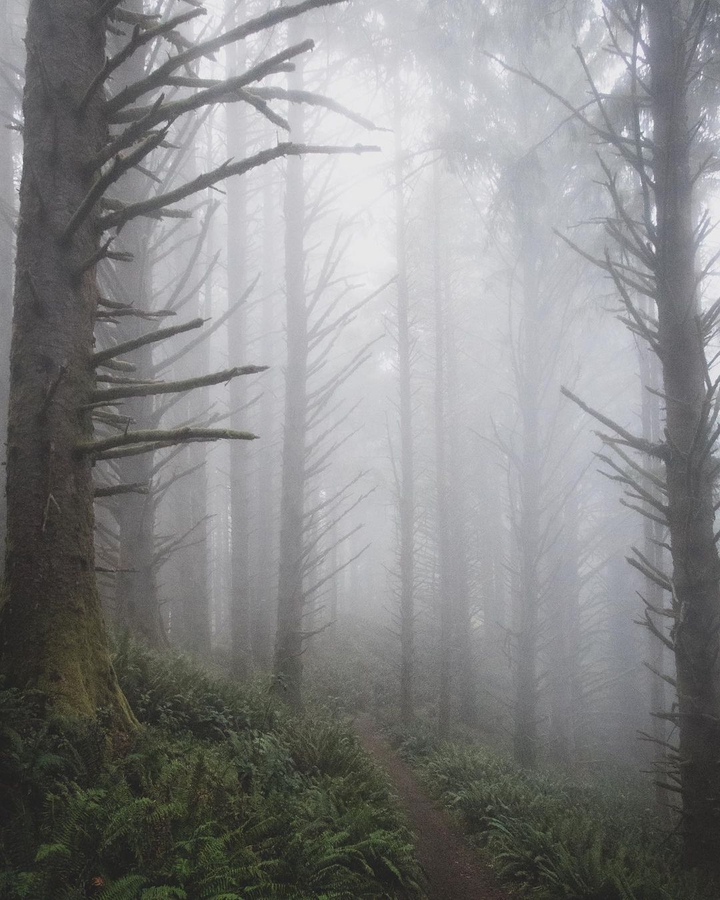 fog