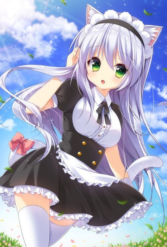 Anime Art