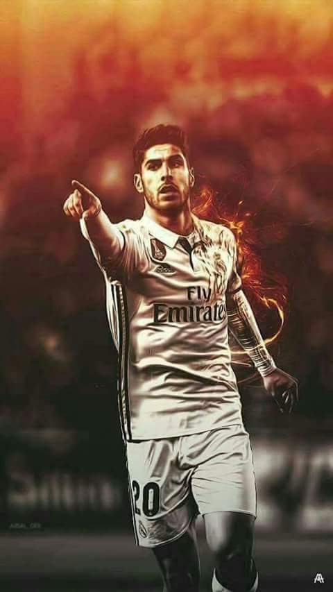 assinseo.20