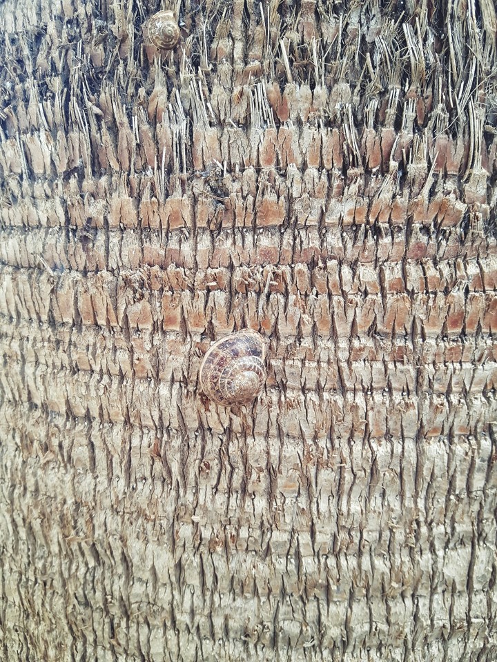details