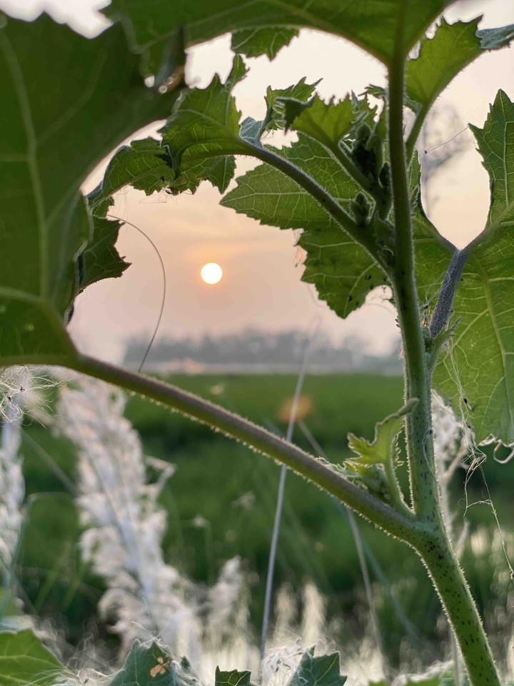 click by me evning vibes