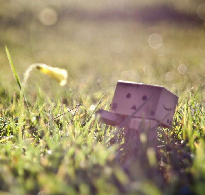 Ah...summer
