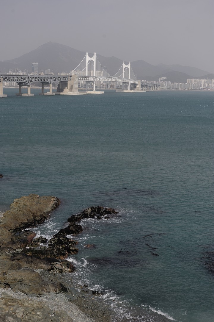 Sea