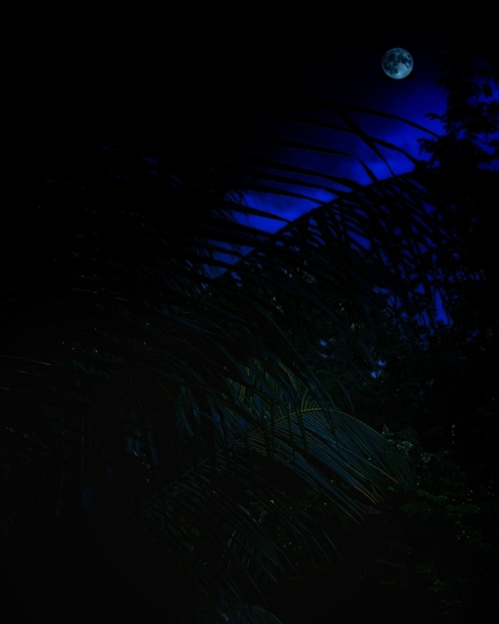 moon