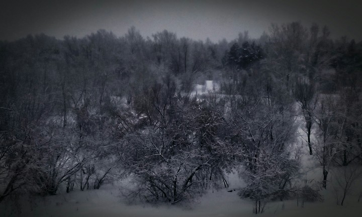 Trees