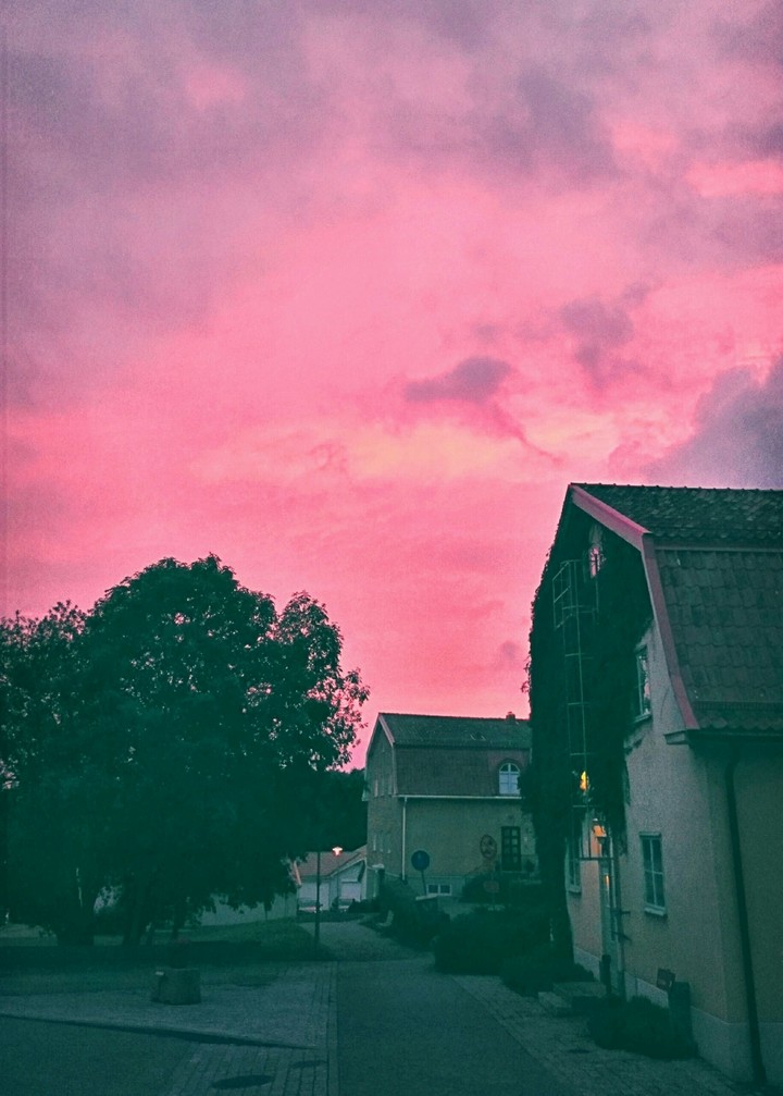 P I N K  N I G H T