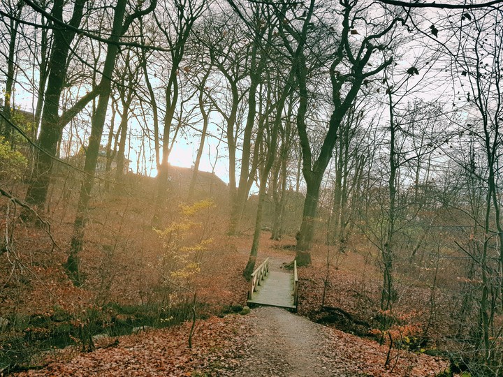 Pålsjö Skog Forest, Helsingborg