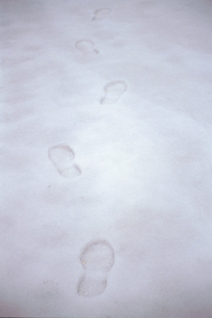 겨울