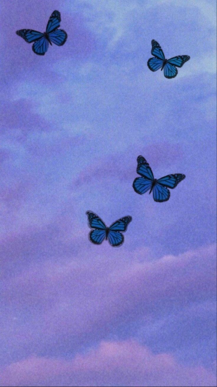 Aesthetic
