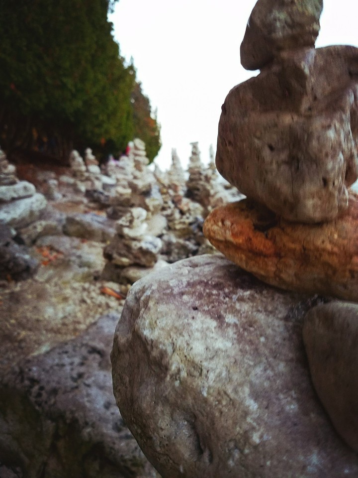rocky shoreline