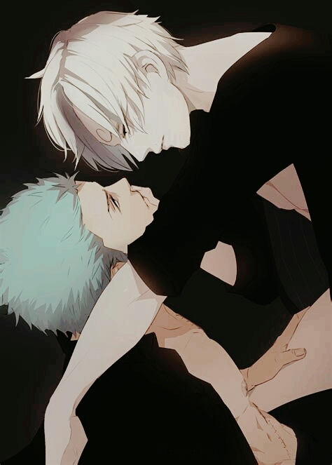 zoro & sanji