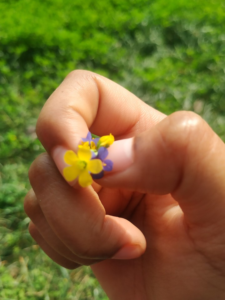small things