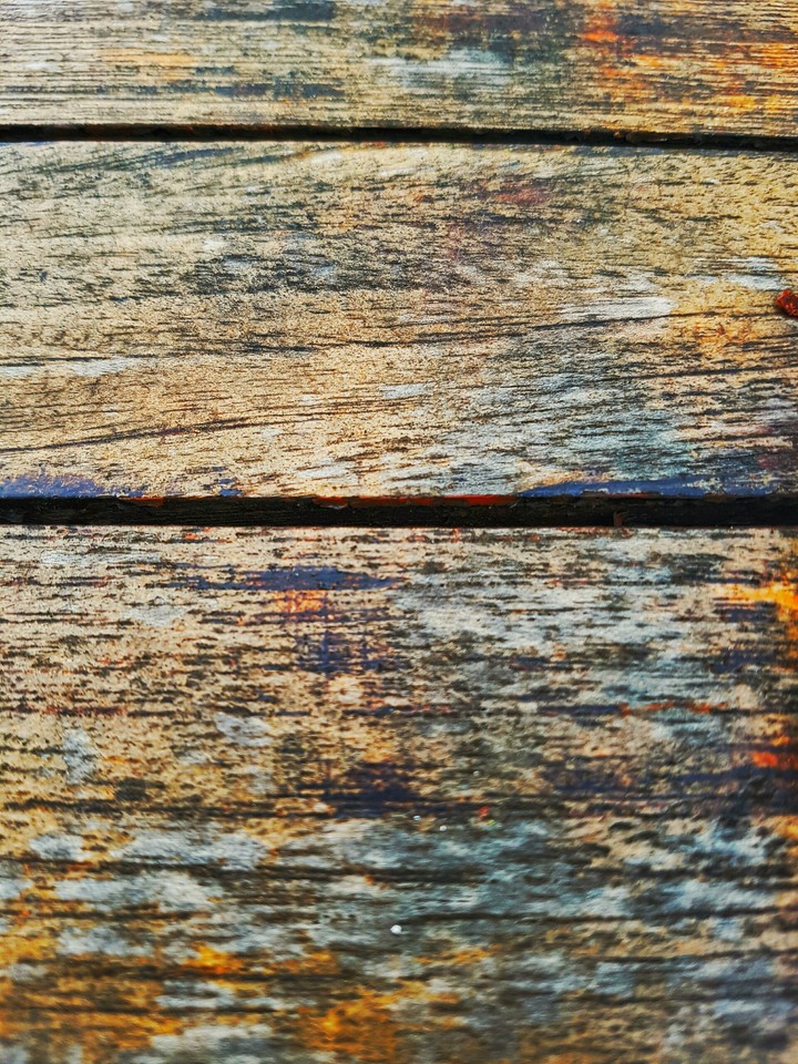 wood life