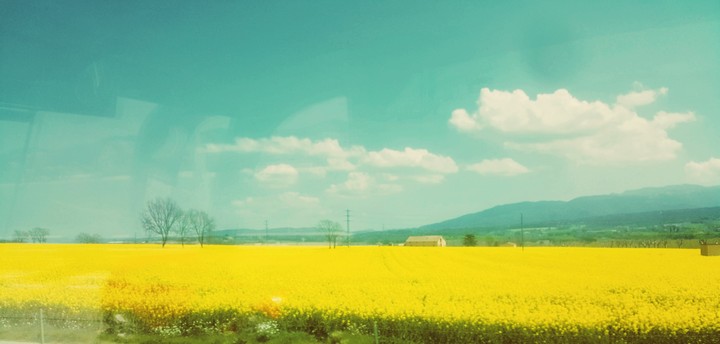 summer