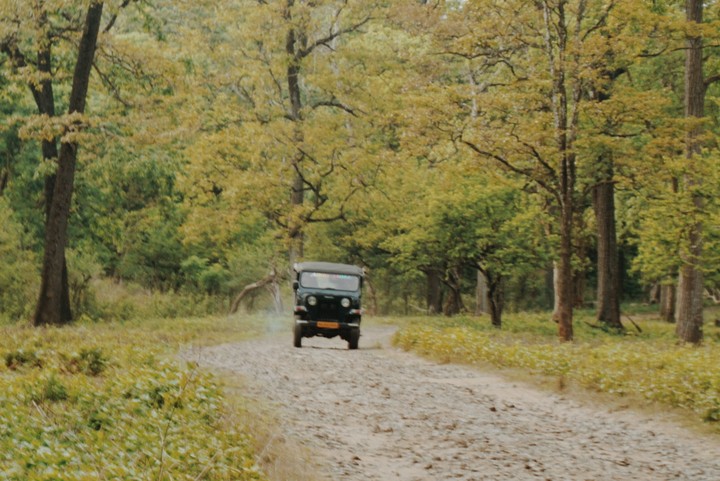 coorg wildlife safari