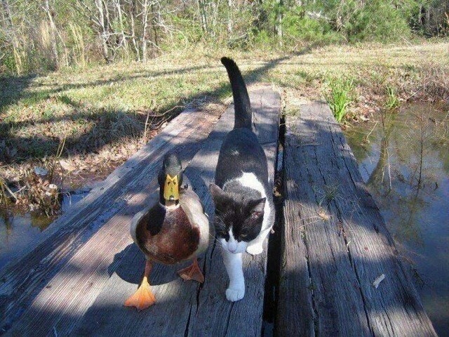 friendship