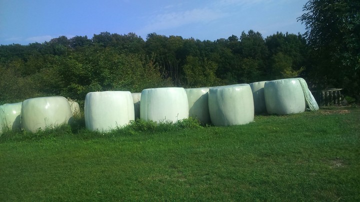 Farm