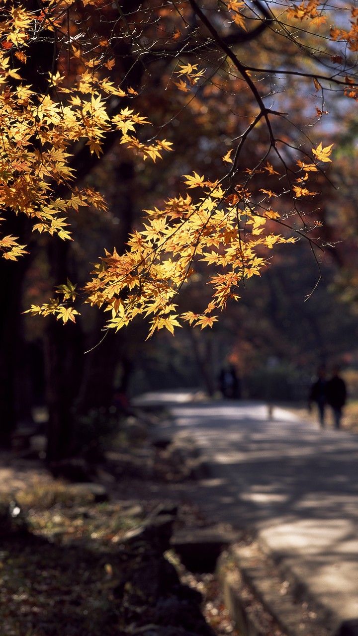 Park