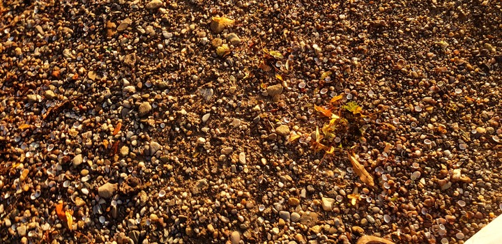 Ground