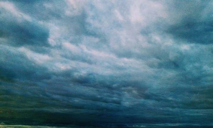 N A T U R E