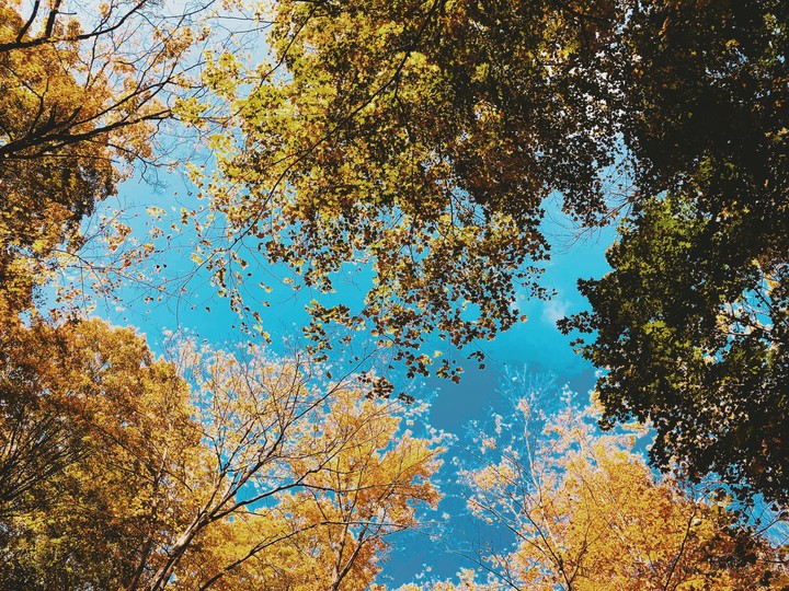 the sky is the neighbourhood
