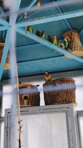 zoo