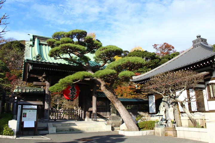 Autumn_2020