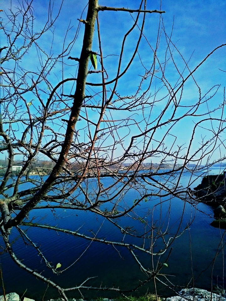 Beautiful nature