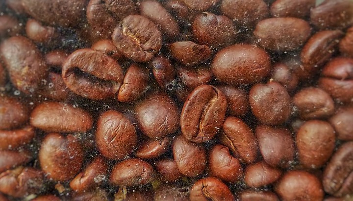coffee bean